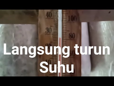 Video: Jamur Musim Panas Di Dekat Rumah