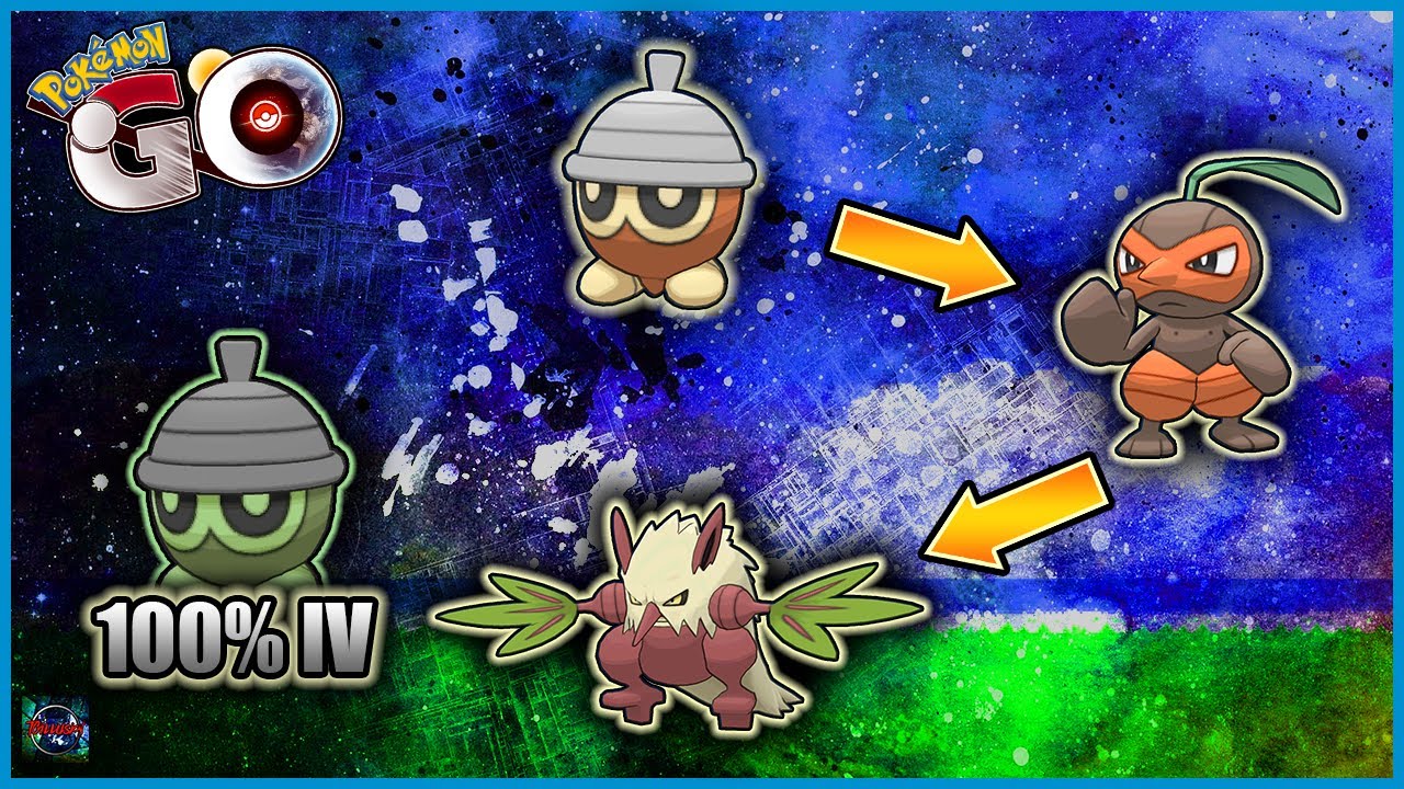 Download Evolving My 100 Iv Seedot Some Shiny Seedot Into Shiftry With For Free Get Wallpaper Evolving My 100 Iv Seedot Some Shiny Seedot Into Shiftry With For Android Free