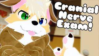 [Furry ASMR] Doggy Cranial Nerve Exam!