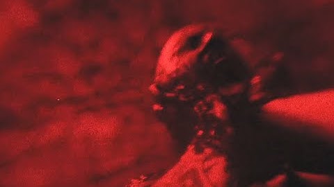 Grief Ritual - Bile [Official video]