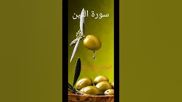 سورة التين  بصوت القارئ الشيخ مشاري العفاسي