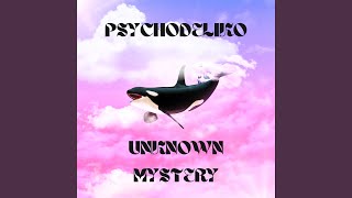 Video thumbnail of "PSYCHODELIKO - Unknown mystery"