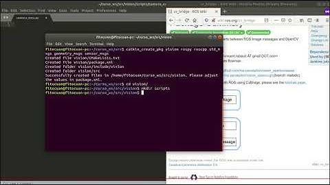 ROS en Español. 3.6 Creando Nuestro Nodo Publicador de Imagen con OPENCV