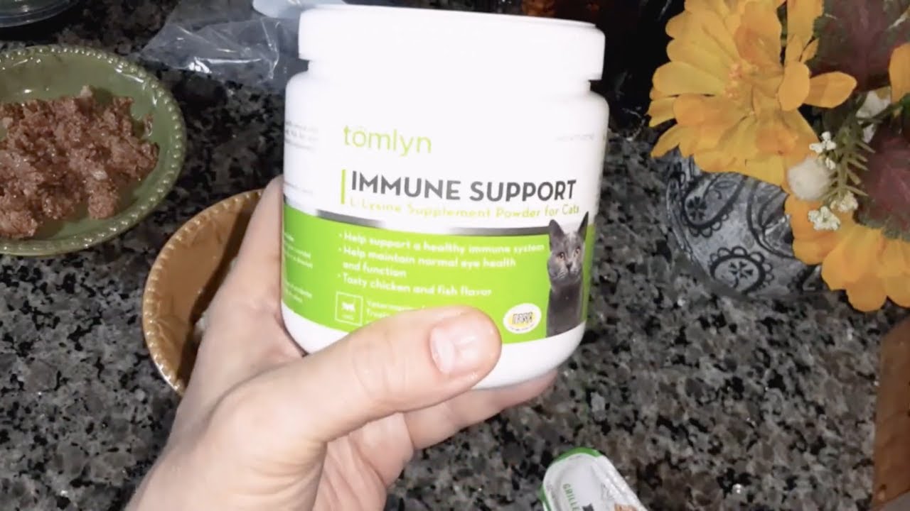 L- Lysine Supplement Immune Support for Cats