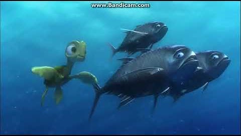 Finding Nemo News About Nemo
