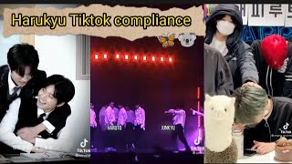 Harukyu Tiktok compliance 🦋🐨#haruto#junkyu#harukyu
