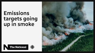How Canada’s record-breaking wildfires are intensifying climate change