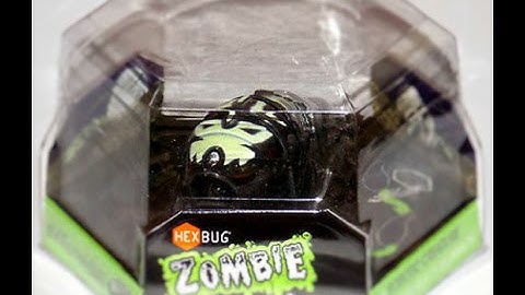 The HEXBUG ZOMBIE LARVA review