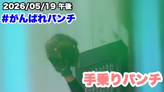 5/19午後　パンチくん、ドアの上に上がる（Punch-kun climbs onto the door.） 2026.05.19