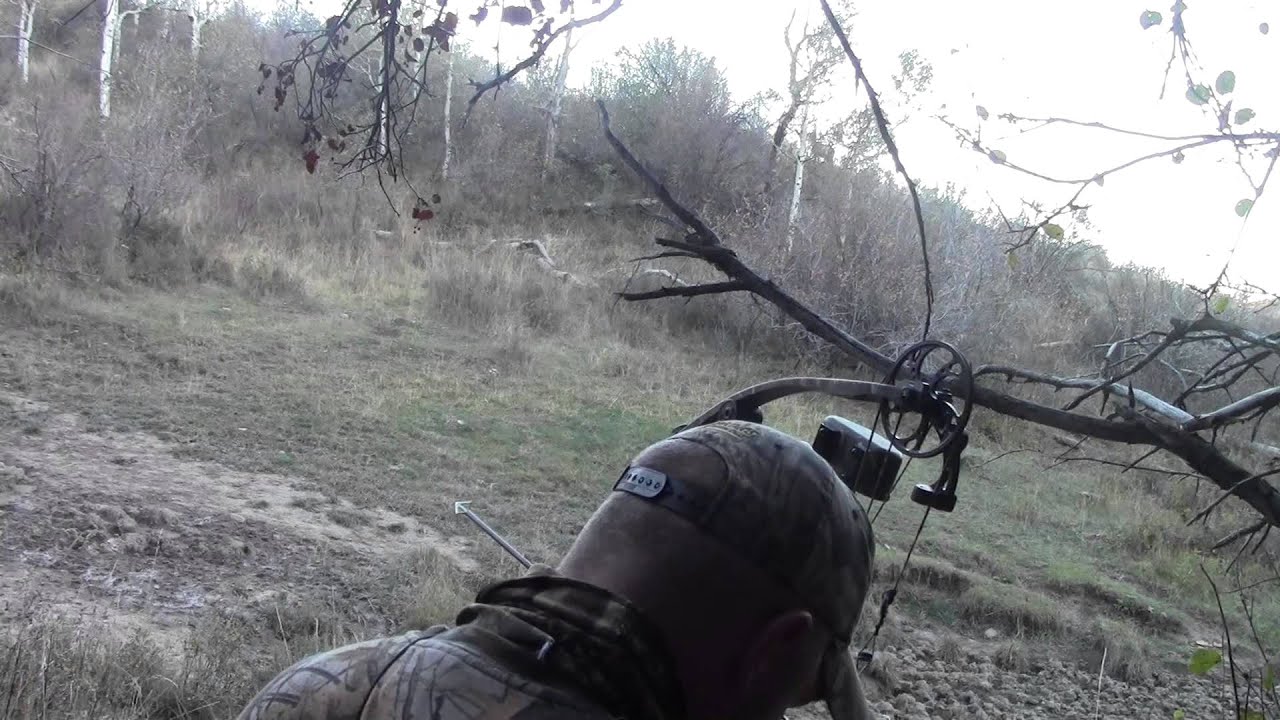 1st Bull 2015 Wyoming Archery Season DIY Public Land YouTube