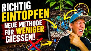 Meine Geheim-Methode für gesunde Pflanzen & weniger Gießen! 🌿
