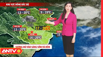 Dự Báo Thời Tiết Tối Ngày 14/02: Miền Bắc Trời Rét Đậm, Có Sương Mù Vào Sáng Sớm Và Đêm | ANTV