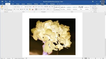 How to Invert the Colors of an Image  for Word