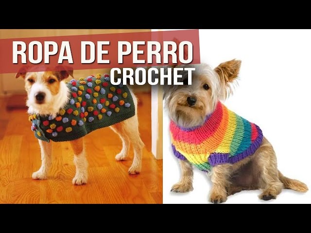 Como Tejer Ropa De Perro De Lana Como Hacer Ropa Tejida Para Perrita Como Tejer Ropa De Perro Lana Como  Tejer Ropa Lana