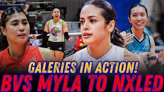 Petrogazz Disbanded na! Brooke Van Sickle at iba pa to NXLDE na! Galeries HAKOT Players din!