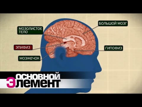 Что происходит с биологическими часами в домашних условиях