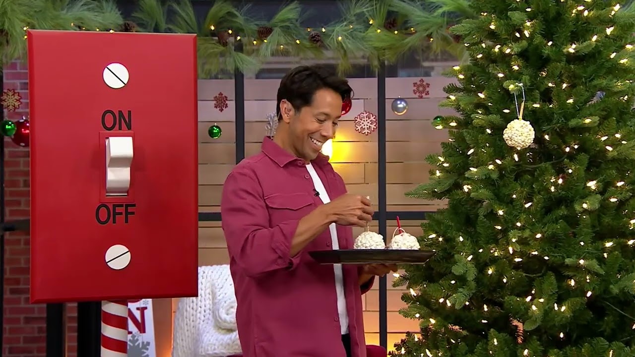 Dash Set of 4 Round Treat Makers on QVC