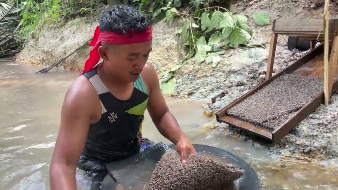 Wawww😱😱😱material tanah seperti ini lah yang di cari” para menambang emas #gold #goldhunter #viral 