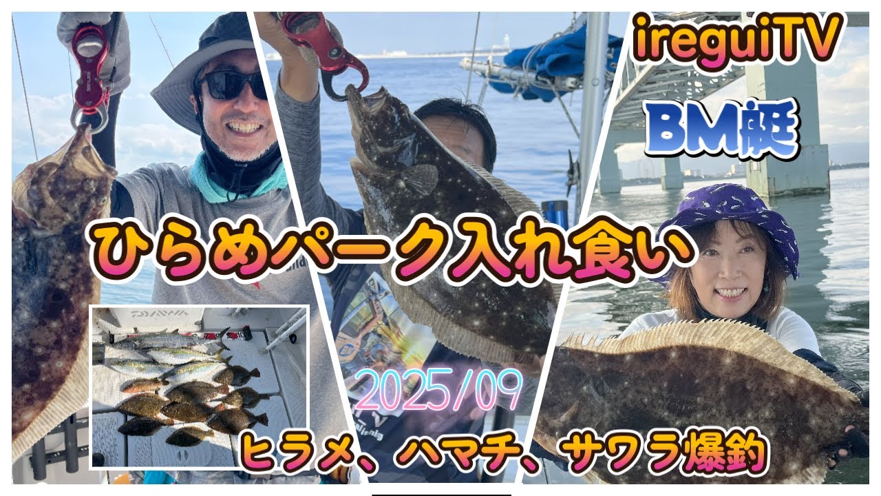 【ヒラメパーク】そろそろ釣れる？ってことでひらパーへいったら予想以上とんでもないヒラメ入れ食いでした。【入れ食いTV】BM艇https://youtu.be/mo0CYREa3SA