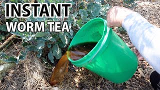 Easy DIY Instant Worm Tea Garden Fertilizer Soil Amendment