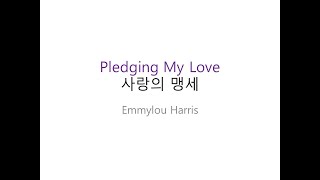 Pledging My Love - Emmylou Harris (사랑의 맹세) 1시간 연속 듣기