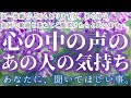 お相手があなたにどうしてもどうしても聞いてほしい事。【緊急】日頃からの感謝を込めて冒頭で皆様にお伝えしたい事をお話ししております🌸#せんぴちゃんねる