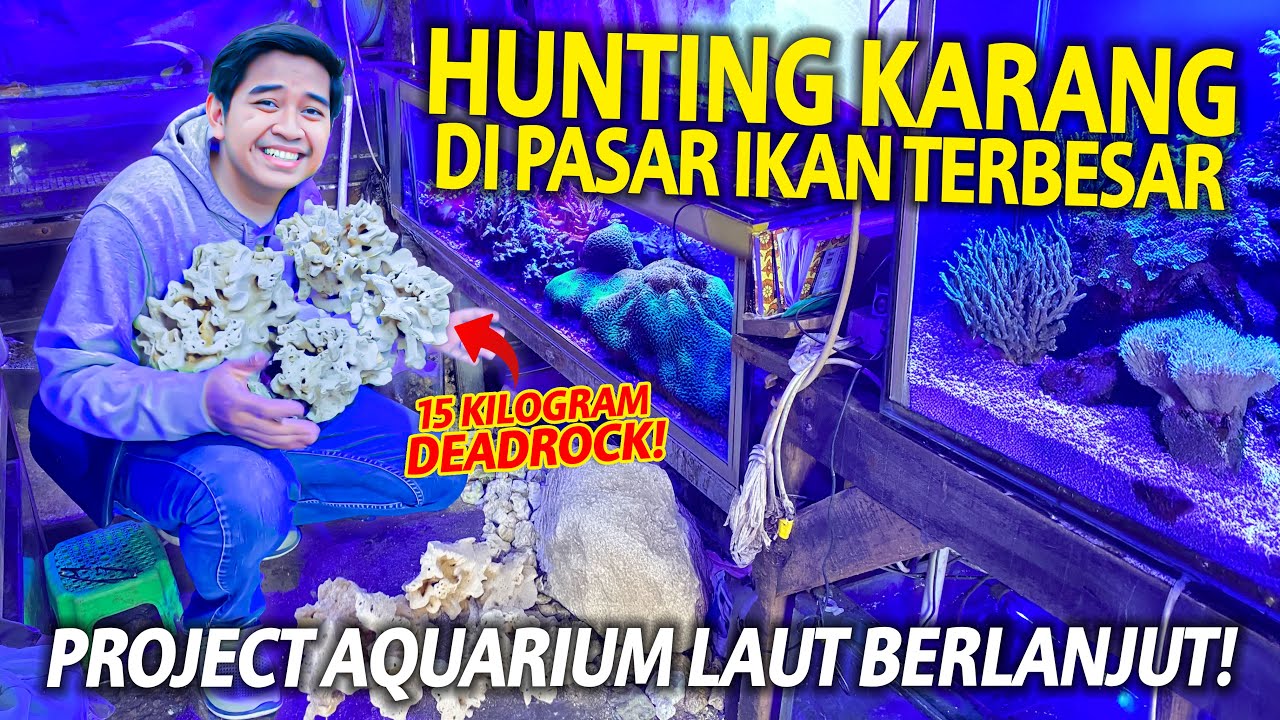 PROJECT AQUARIUM LAUT BERLANJUT! HUNTING 15KG BATU KARANG DI PASAR IKAN TERBESAR BANDUNG!