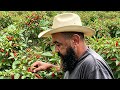 COMO FAZER MUDAS PERFEITAS DE PIMENTAs ,dica #agronegócio#pecuarista #sabiadocampo