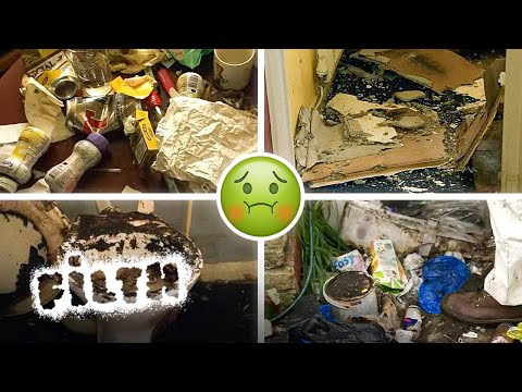 3 Hours Of The Worst Hoarding Cases Ever Recorded documentary thumbnail