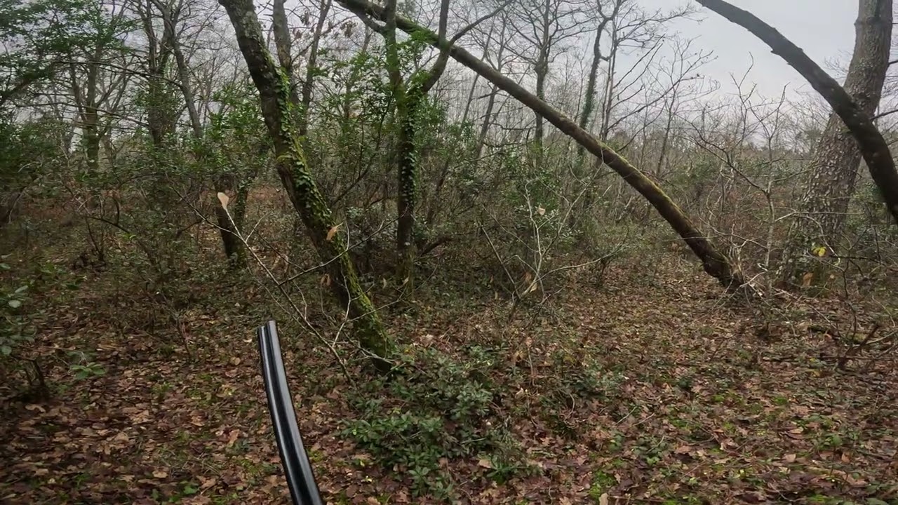 Magnifique arrêt sur place chaude🪶🤩