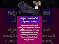 ಗಿನ್ನೆಸ್‌ ದಾಖಲೆ ಬರೆದ ಮೈಸೂರು ದಸರಾ