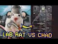 LAB RAT vs JUICED USEC — Rats vs Chads in Tarkov #6