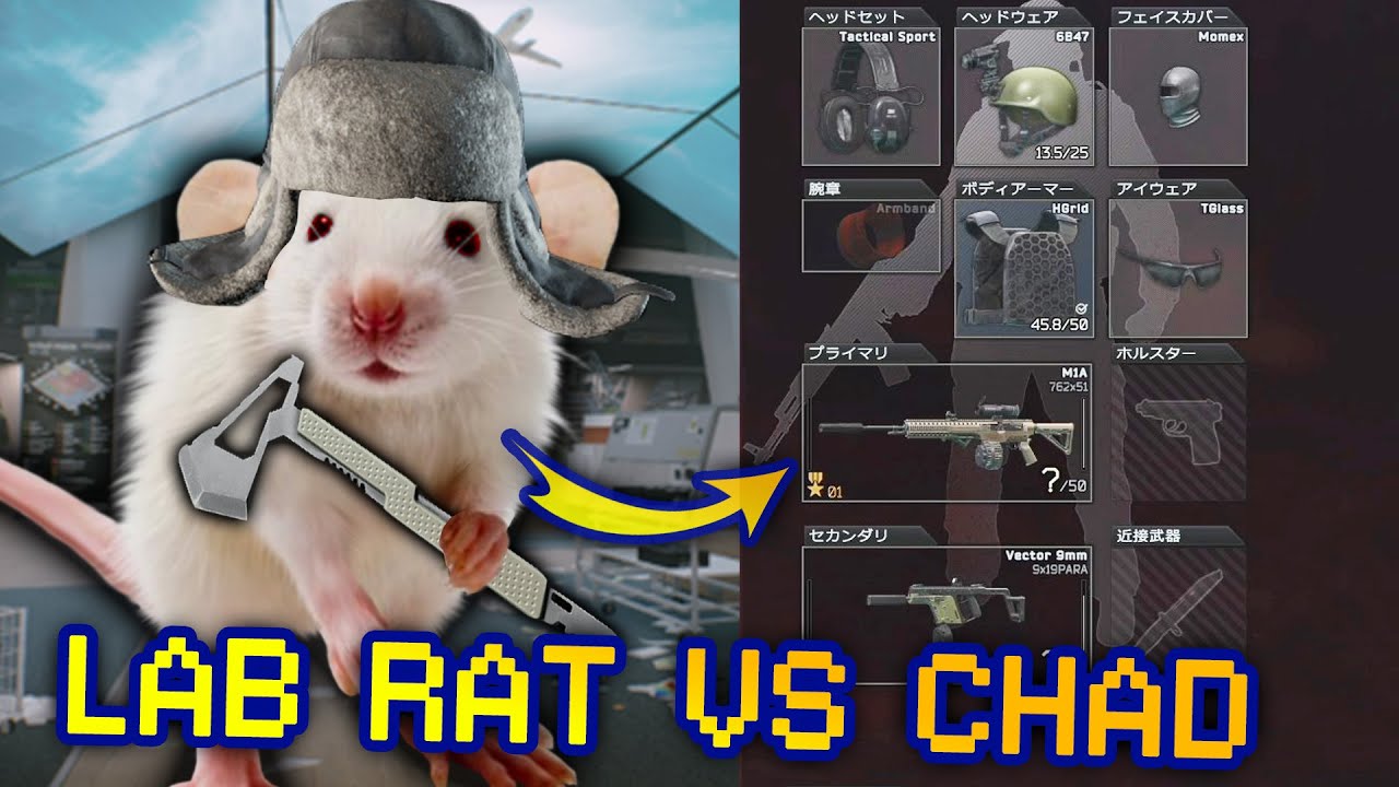 LAB RAT vs JUICED USEC — Rats vs Chads in Tarkov 6 YouTube