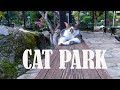 Cat Park in Turkey [ Cat Heaven in Alanya]