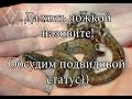 Что такое подвиды?