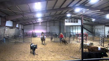 WSR Smartlil Badger - 11/7/12 sorting practice 5 - Valley View Ranch