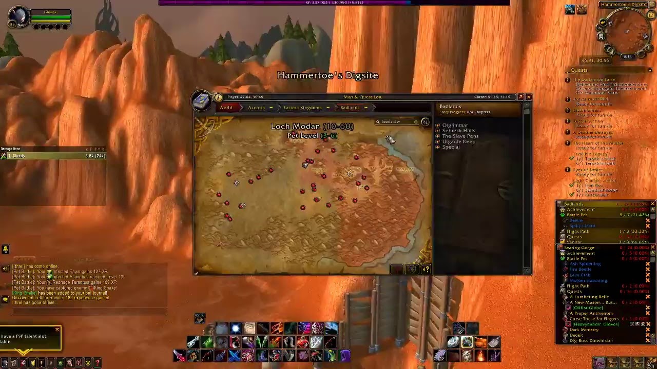 World of Warcraft Completionism