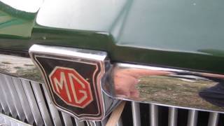 MVI 3615
