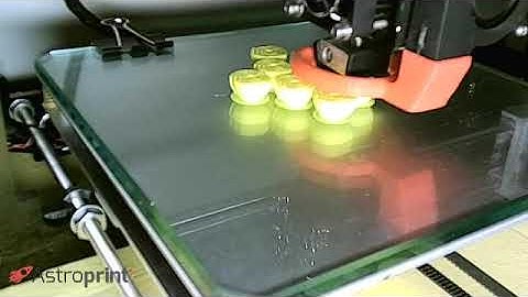 AA8_28_rose-petals | 3D Printed with AstroPrint