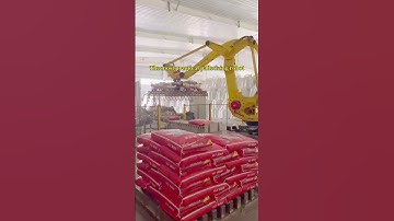 The most practical palletizing robot. #machine #factory #robot #industrial