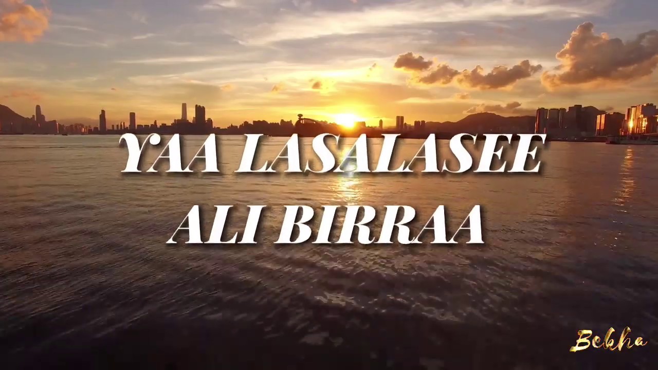 ALI BIRRAA   YAA LASALASEE   Lyrics