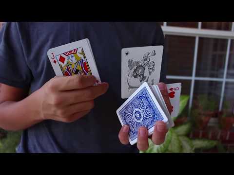 Little Backyard Cardistry Edit