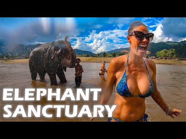 Elephant Sanctuary – S3:E25