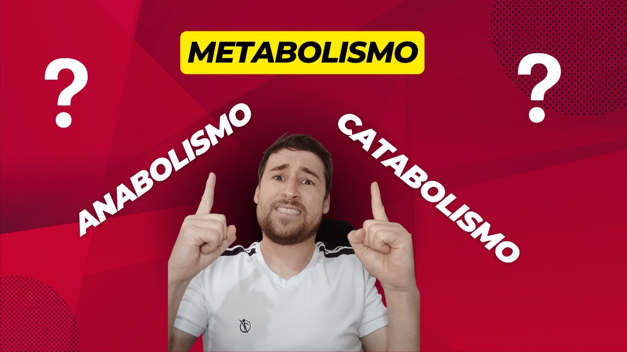 METABOLISMO - Anabolismo e Catabolismo - Prof. Diego Reinicke 