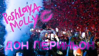 картинка: Пошлая Молли - Дом Периньон (Гигант Холл Спб 09.01.22)