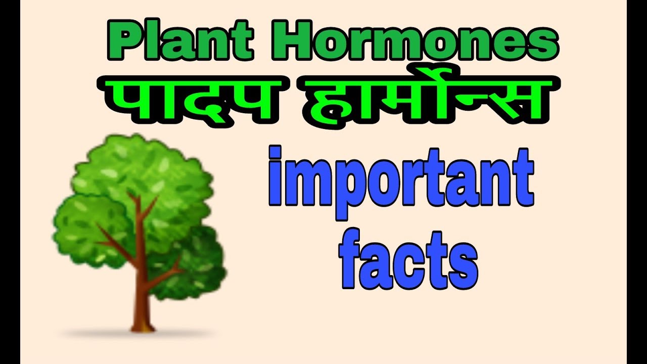 Plant hormones। पादप हार्मोन्स । important facts in hindi/English