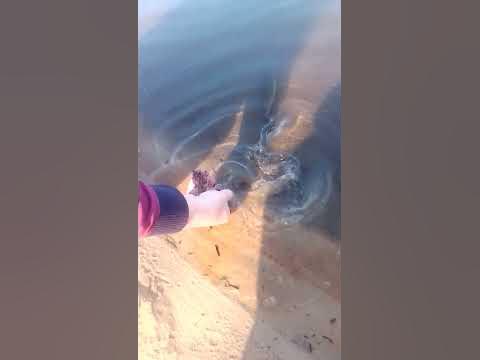 щуренок - YouTube