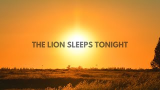 The Lion Sleeps Tonight - Elin Hellström (feat. INTIM)