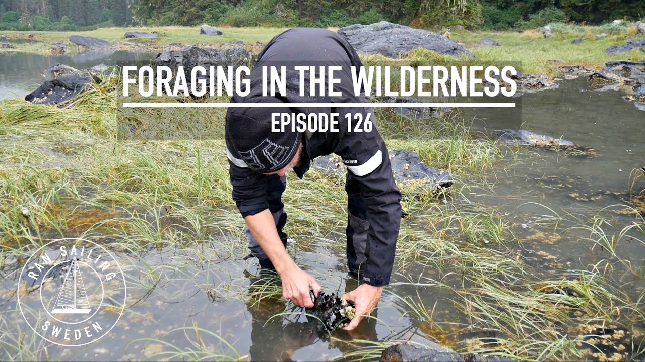 Foraging In The Wilderness – Ep. 126 RAN Sailing