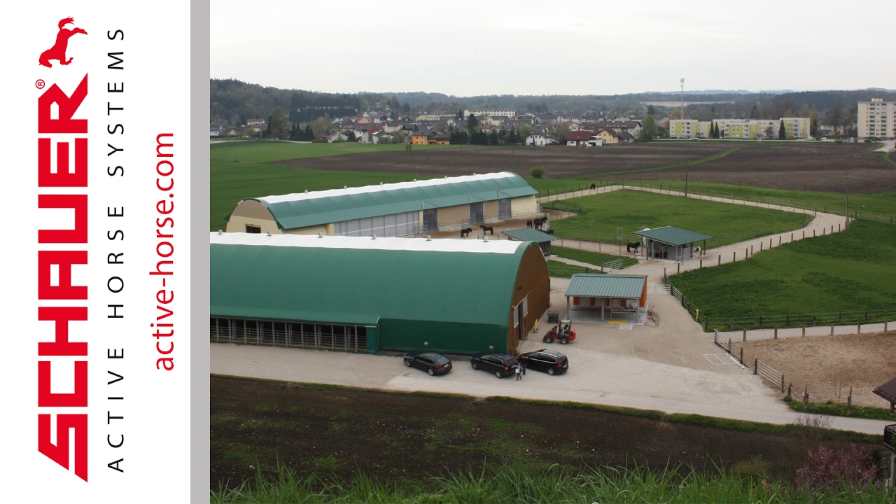 Horse Training Center Hellmayr YouTube